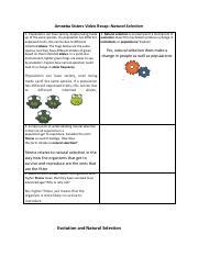We do offer official Amoeba Sisters answer keys (linked on this website to Teachers Pay Teachers- TPT) which also have these same terms. . Natural selection amoeba sisters answer key edpuzzle